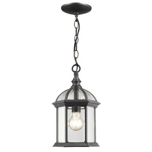 Bunker Hill Outdoor 1-Light Lantern Pendant