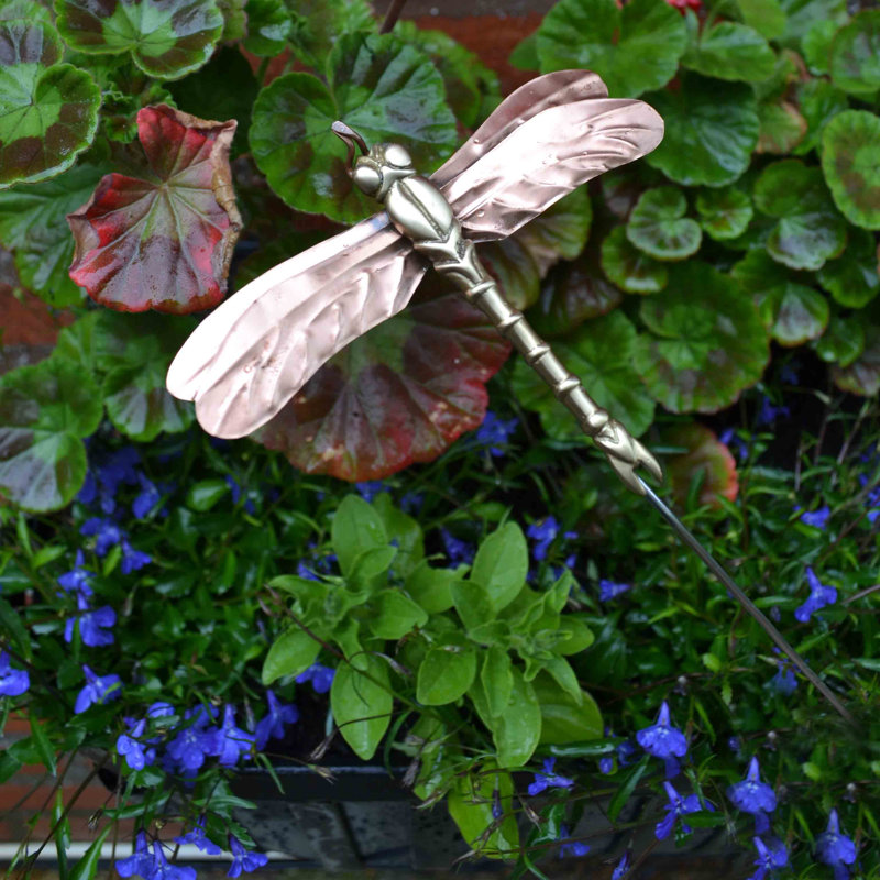 Black Country Metal Works Dragonfly Garden Stake & Reviews Wayfair.co.uk