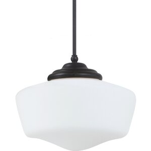 Panacea 1-Light Abstract Shade Pendant