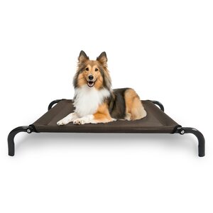 Elevated Pet Dog Bed/Cot