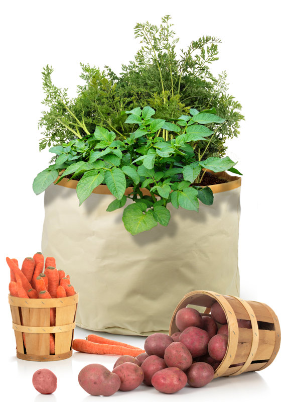 Architec Homegrown Gourmet™ Harvest Root Vegetable Grow Bag & Reviews
