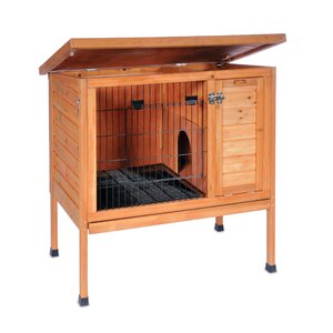 Rabbit Hutch