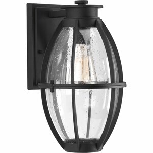 Janay 1-Light Outdoor Wall Lantern