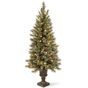 Green White Pine Trees Artificial Christmas Tree With 150 Incandescent Clear Lights Green White Pine Trees Artificial Christmas Tree With 150 Incandescent Clear Lights