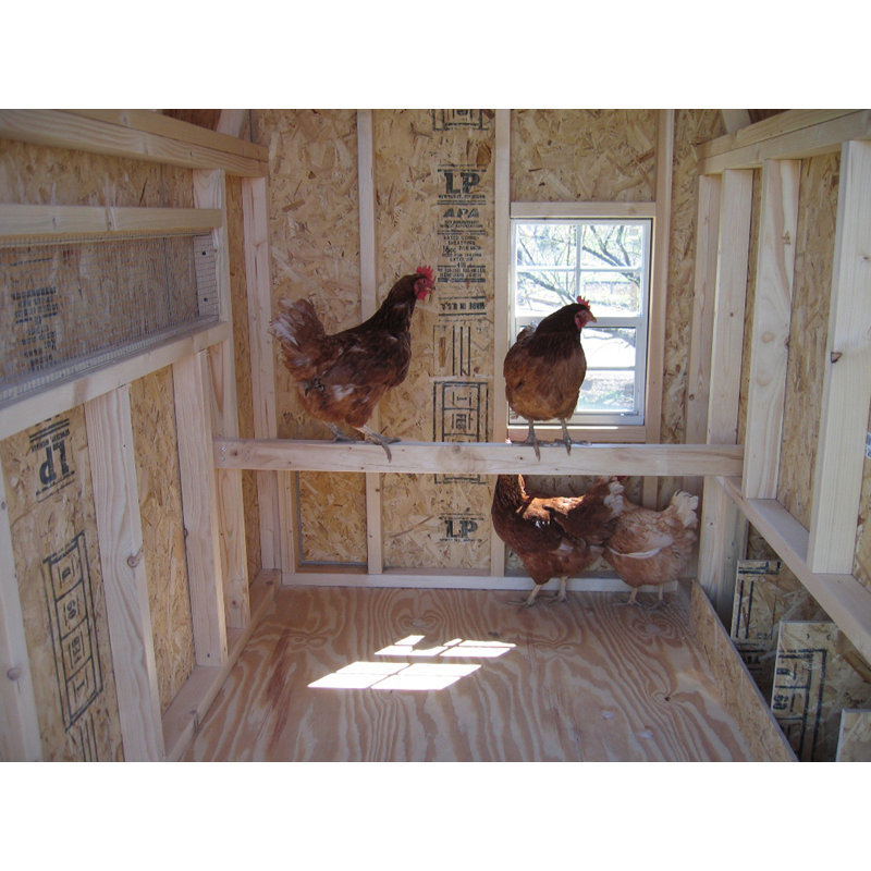 Gambrel Barn Chicken House With Ramp And Nesting Box