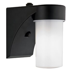 Cylinder 1-Light Outdoor Sconce