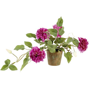 Faux Clematis Vine in Clay Pot