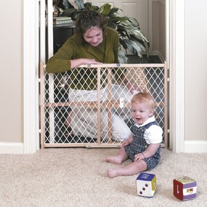 GuardMaster Standard Plastic Mesh Gate