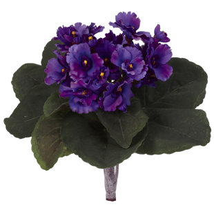 Silk African Violet Wayfair Quickview