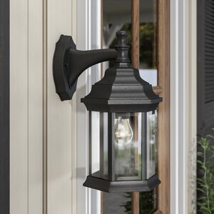 Oakford 1-Light Outdoor Wall Lantern