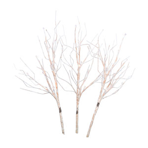 3 Stem Birch Branch