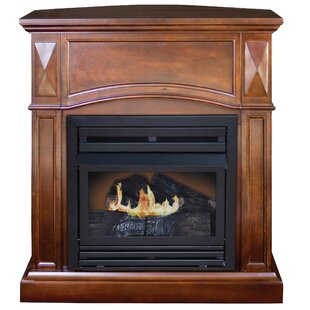 Modern Contemporary Gas Fireplace With Mantels You Ll Love Wayfair