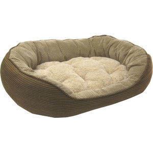 Pillow Soft Daydreamer Dog Bed