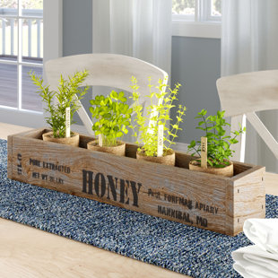 Long Tray Centerpiece Wayfair Pinheiro Wood Tray Centerpiece Box Honey Accent