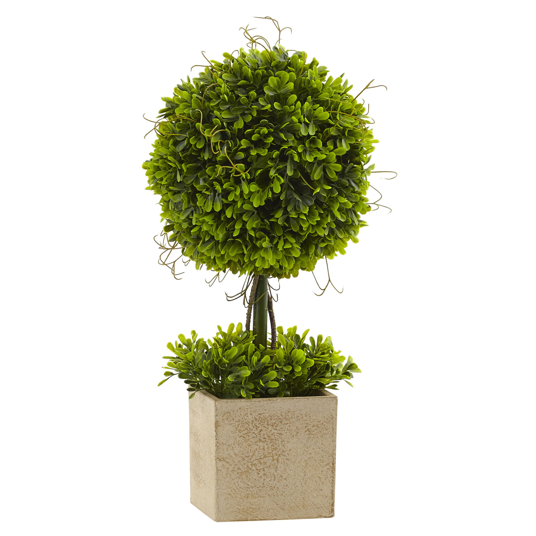 Nearly Natural Boxwood Round Topiary in Planter & Reviews Wayfair