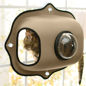 EZ Mount Window Elevated