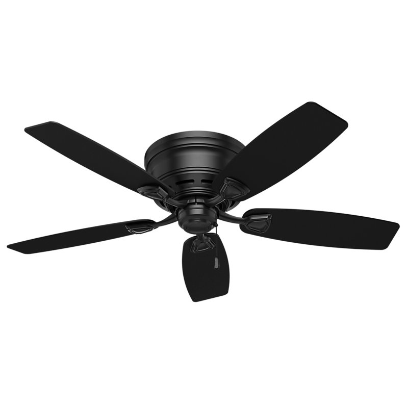 Hunter Fan 48 Sea Wind 5 Blade Outdoor Ceiling Reviews Wayfair