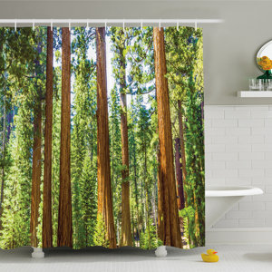 National Parks Home Branches Spring Conifers Sequoia Shower Curtain Set