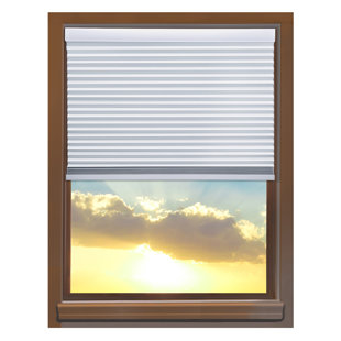 Real Simple Cordless Shades Wayfair Custom Cordless 25 W Blackout Cellular Shade