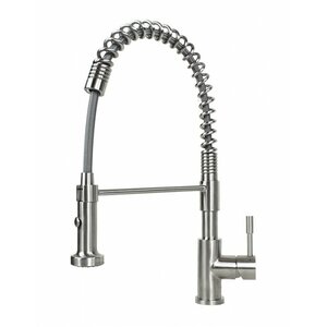 Ariel Single Handle Kitchen Faucet with Pull Out Sprayer