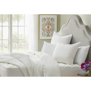 Defend A Bed Ultimate Rayon Quilted Waterproof Mattress Protector by Alwyn Home