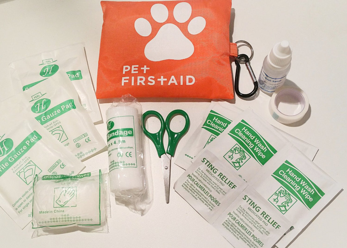 Adog Travel Pet First Aid Kit & Reviews Wayfair