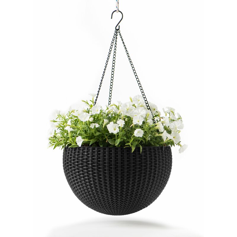 Keter Round Plastic Hanging Planter & Reviews | Wayfair