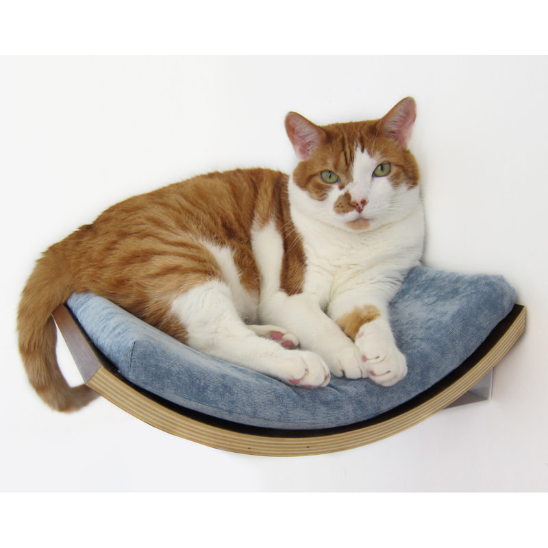 Tucker Murphy Pet 5 Musson Curve Wall Mounted Cat Perch Wayfair