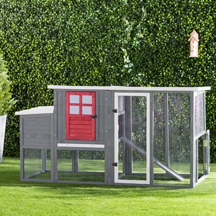 Walk In Chicken Coop Wayfair