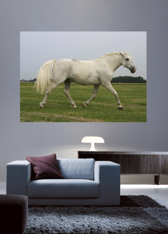 Wallhogs Horse III Wall Mural & Reviews Wayfair