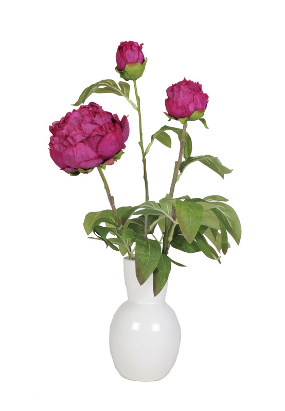 House of Silk Flowers Artificial Peony in Ceramic Vase & Reviews Wayfair