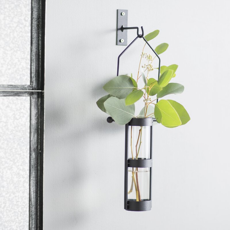 August Grove Hanging Cylinder Wall Vase & Reviews | Wayfair