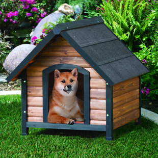 Arlene Outback Extreme Country Lodge Dog House Arlene Outback Extreme Country Lodge Dog House