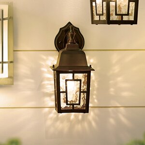 Timmons 1-Light Outdoor Wall Lantern