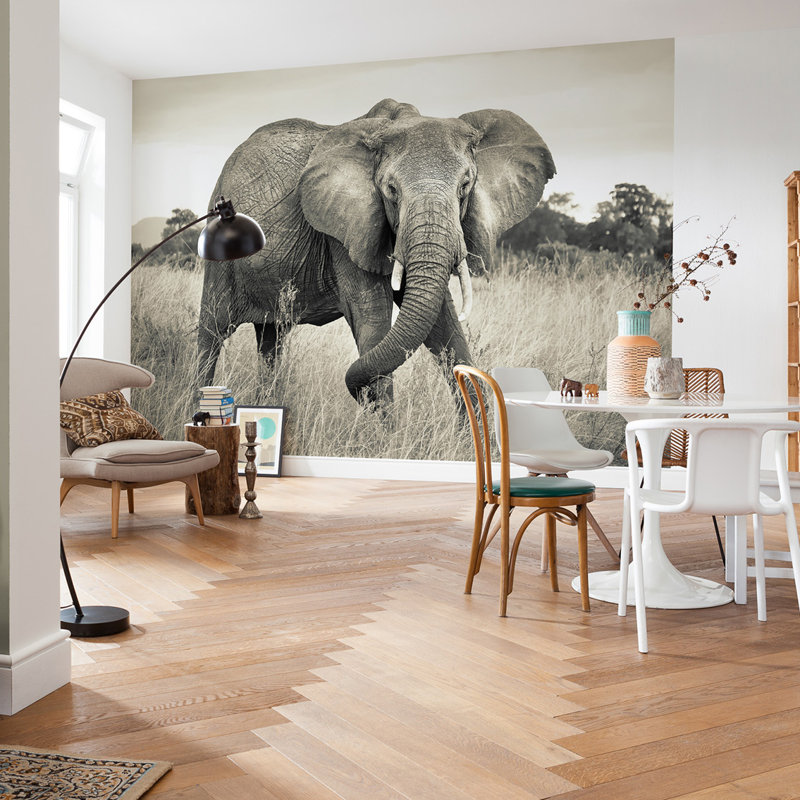 WallPops! Komar Elephant Wall Mural & Reviews Wayfair