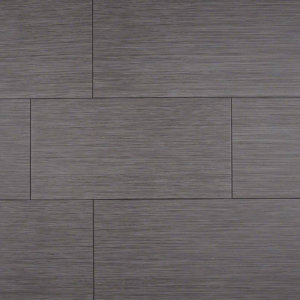 Focus Graphite 12