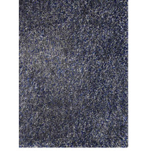 Ry Hand Tufted Blue Indoor/Outdoor Area Rug