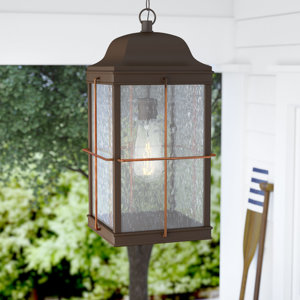 Craig 1-Light Outdoor Hanging Lantern
