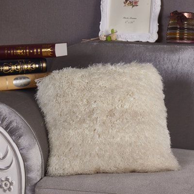 Decorative Throw Pillows For Couch Wayfair