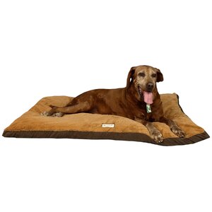 Mocha Dog Pillow