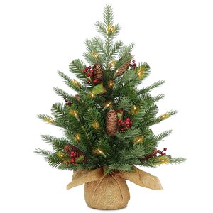 Nordic 2' Spruce Christmas Tree with Clear Lights
