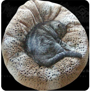 Tiger Dreamz Wayfair Beddy Ball Pet Bed By Tiger Dreamz