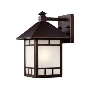 San Pablo 1-Light Outdoor Wall Lantern