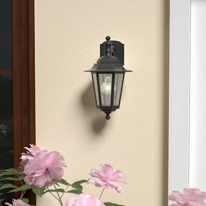 Mayer 1-Light Outdoor Wall Lantern