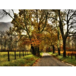 Rainy Morning on Sparks Lane by Danny Head Wrapped Photographic Print on Canvas