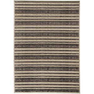 Burmont Dark Navy/Light Gray Open Field Rug