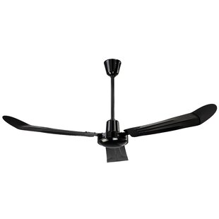 Sports Themed Ceiling Fan Wayfair Ca