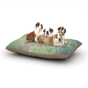 Robin Dickinson 'Captivating II' Flower Dog Pillow with Fleece Cozy Top