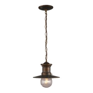 Acklins 1-Light Outdoor Pendant