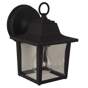Overbey 1-Light Outdoor Wall Lantern